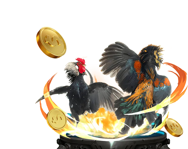 Kinh nghiệm đá gà 777 vin